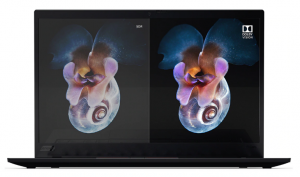 Lenovo Laptop ThinkPad X1 Carbon 20QD0032AD