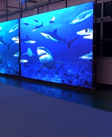 A video Wall display solution for showing video publicly in Bahrain by Nexcel Computer Solutions